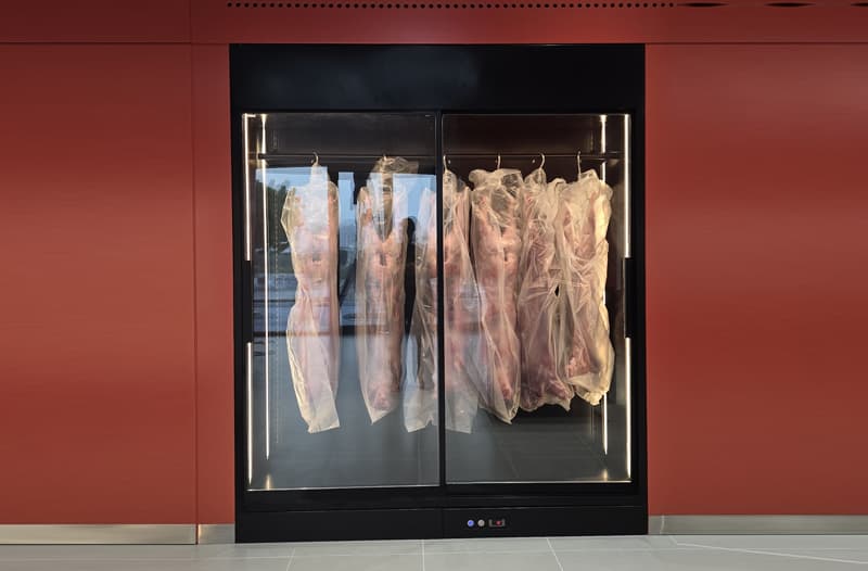 Meat Display